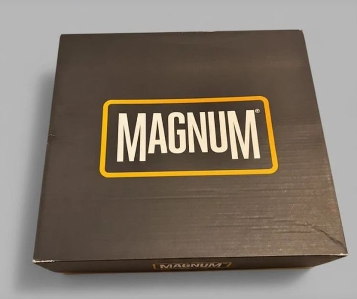 Magnum Strike Force RC 8.0 - photo numéro 3