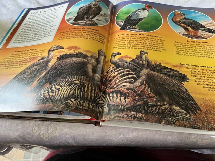 Livre l’imagerie animale. Les rapaces neuf - photo numéro 4