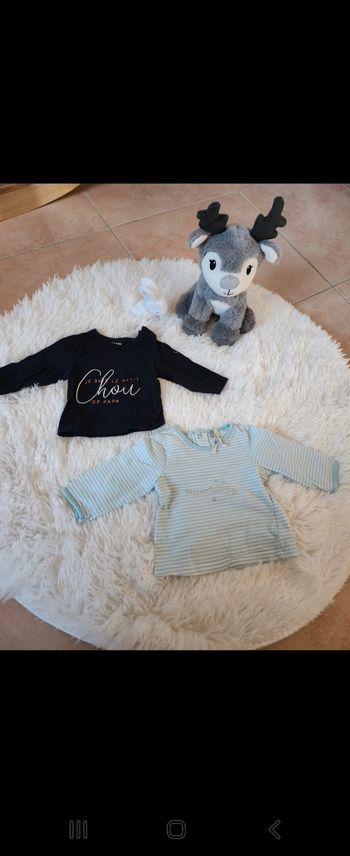 Lot 2 Tee shirts 1 mois