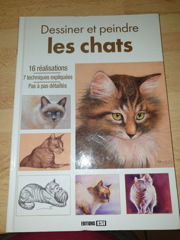Livre pour apprendre à dessiner les chats