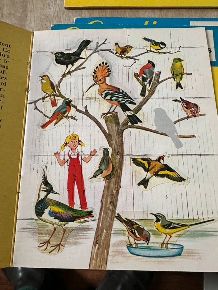 Lot de 4 livres albums autocollants rares Caroline Pierre Probst vintage anciens - photo numéro 12