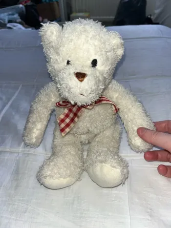 Petit ours en peluche