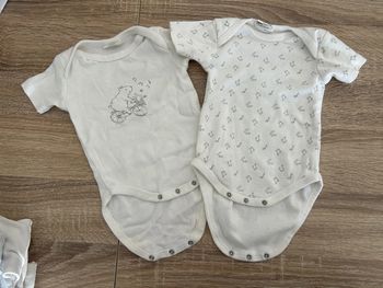 Lot 2 body