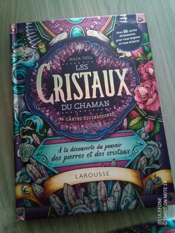 Les cristaux du chaman et 36 cartes divinatoires pierres et cristaux