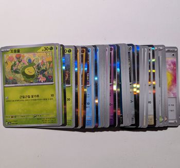 Lot de 50 cartes Terastal festival coréen