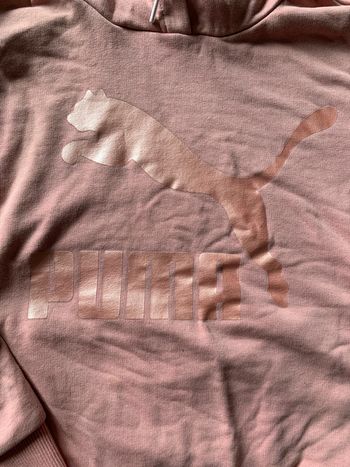 Sweat puma