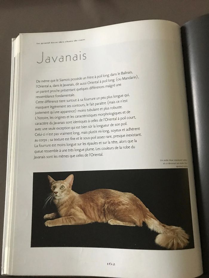 Le grand livre des chats de race - photo numéro 8
