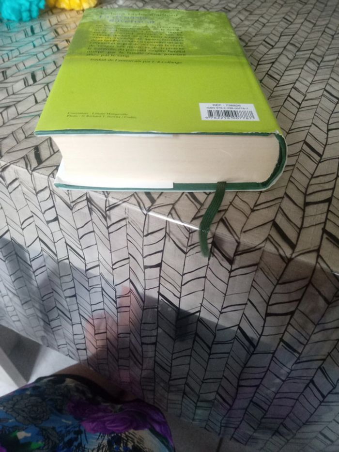 Roman : " La dynastie Ravenscar ". - photo numéro 3