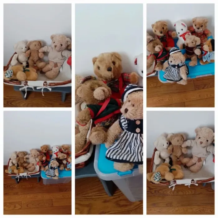 La famille Ours au grand complet. Qui l'adoptera pour la vie ? - photo numéro 8