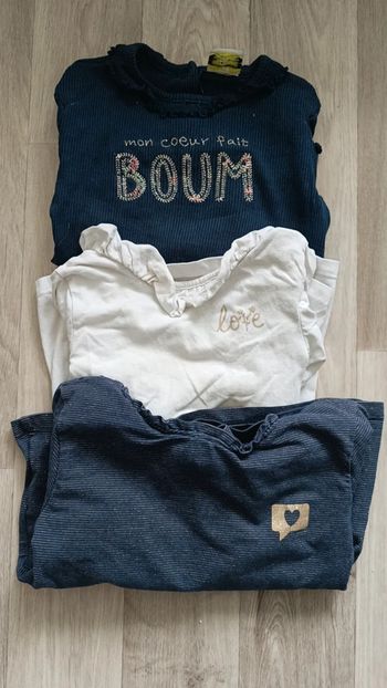 Lot tee shirts manches longues marque  tape a l'oeil taille 24 mois
