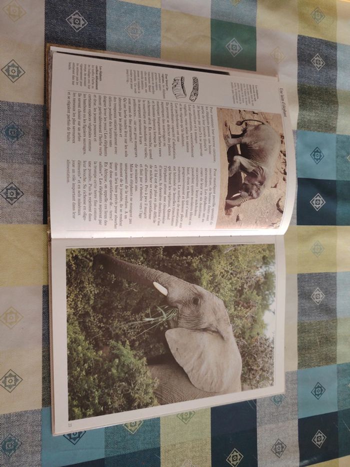 Livre sur l'éléphant - photo numéro 7