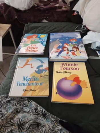 4 super livres disney