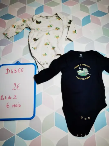 D4566 - lot de 2 bodies garçon 6 mois