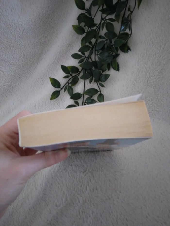 🌸Livre romance bebe du boss🌸 - photo numéro 2
