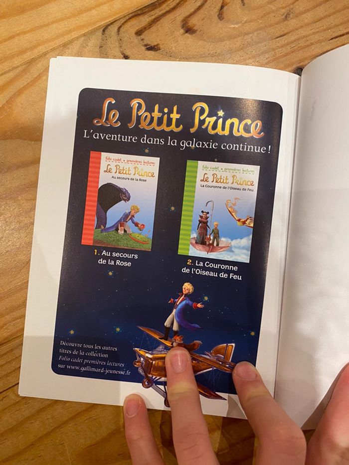Le petit prince au secours se la rose - photo numéro 3