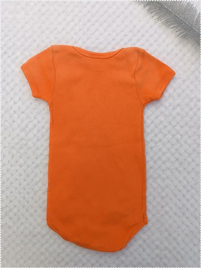 🔸Body Manches Courtes Petit Bateau - 12 mois 🔸 - photo numéro 3