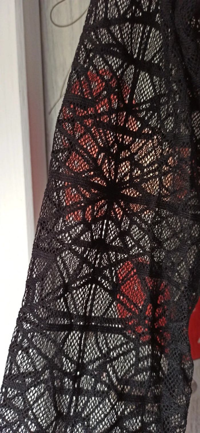 Robe en dentelle Morgan - photo numéro 2