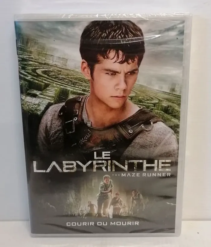Dvd LE LABYRINTHE / DYLAN O'BRIEN (Neuf sous blister)