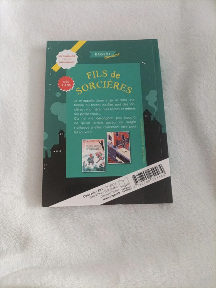 Fils de sorcière – Pierre Bottero - photo numéro 2