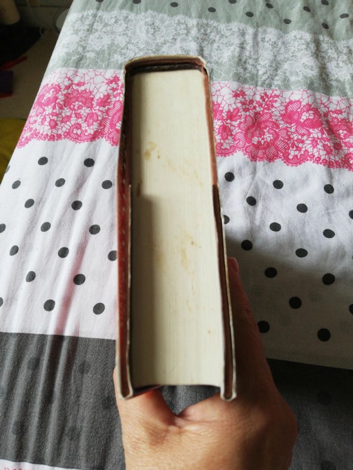 Hannibal - photo numéro 6