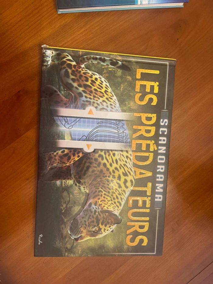 Livres enfants