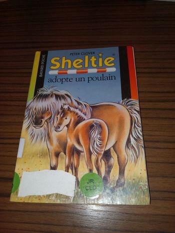 Sheltie adopte un poulain