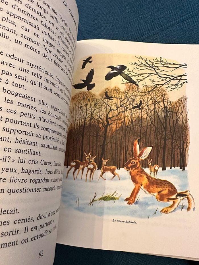 1979 Livre ancien Bambi le Chevreuil Félix Salten Pierre Probst La Galaxie - photo numéro 7