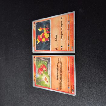 Cartes Pokemon : Famille Magmar - Destinées de Paldea
