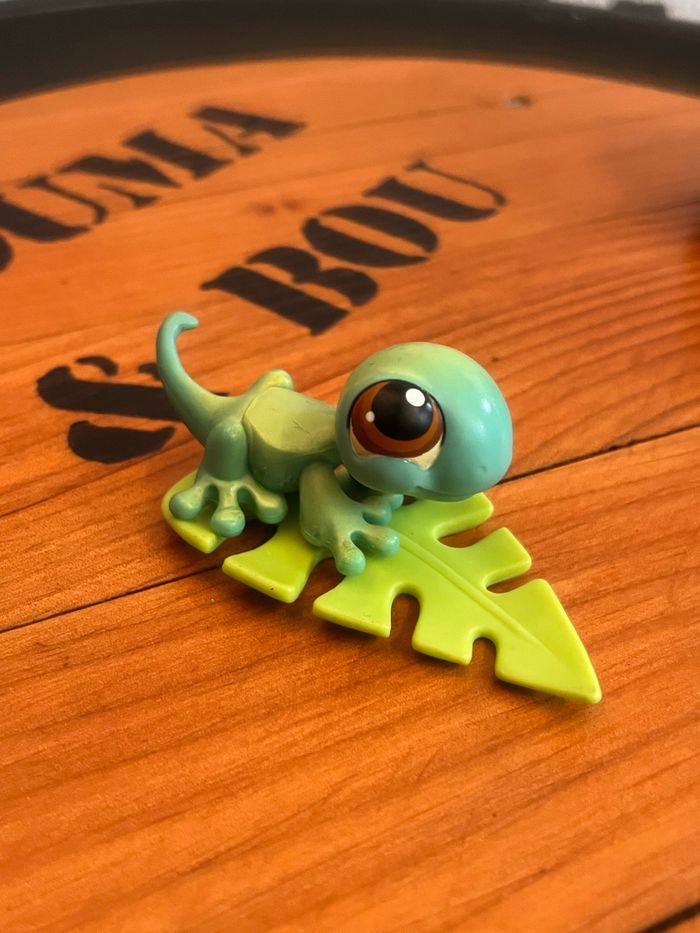 Petshop et son accessoire