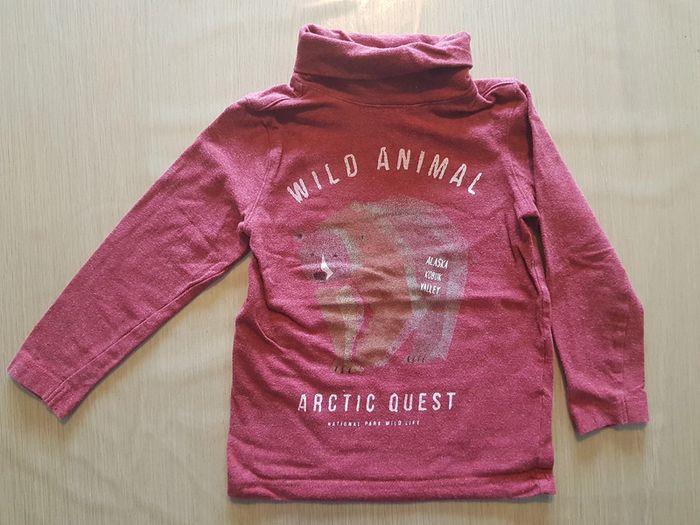 Lot 19 T-shirts polos garçon 2 ans - photo numéro 7