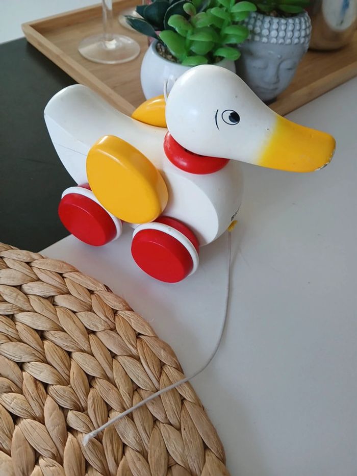 Canard à Tirer Brio 🌿🎁 - photo numéro 3