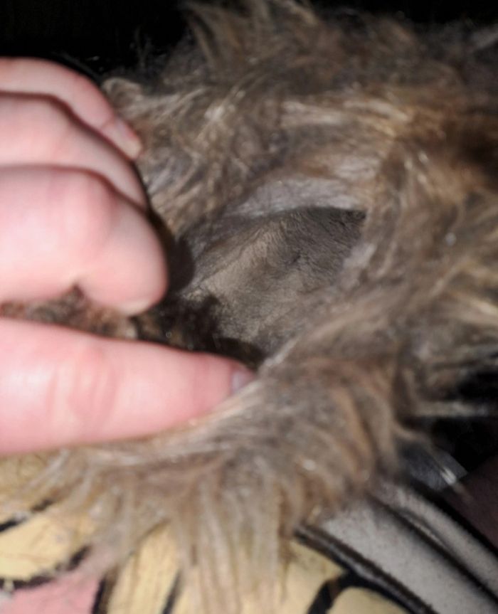 Chaussures fausse fourrure à moumoute - photo numéro 6