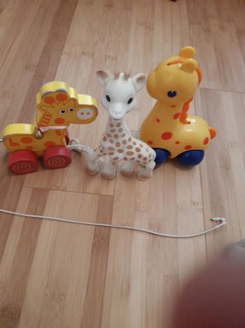 Lot de girafes