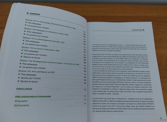 Professeur des écoles CRPE mise en situation professionnelle - photo numéro 7