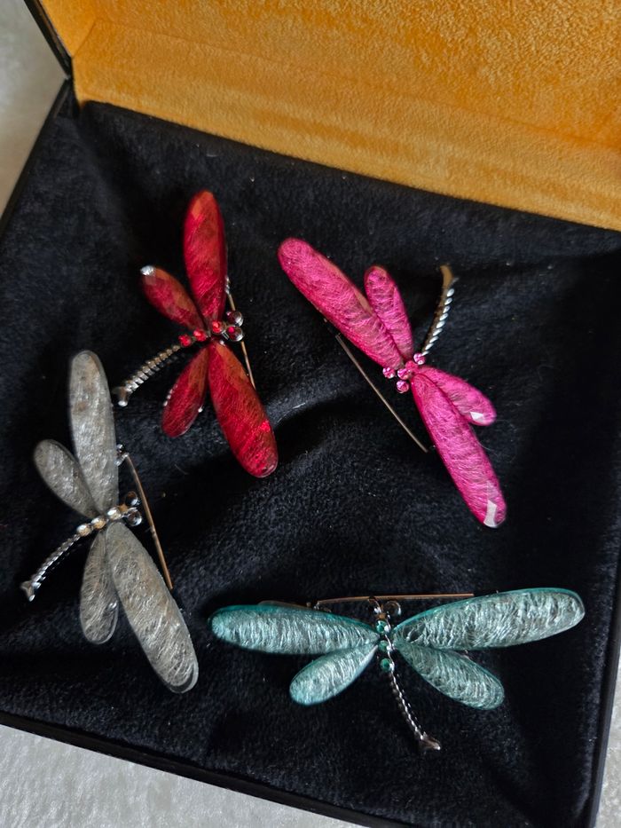 Libellules butineuses multicolores - photo numéro 6