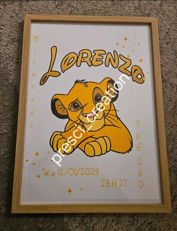 Cadre naissance simba