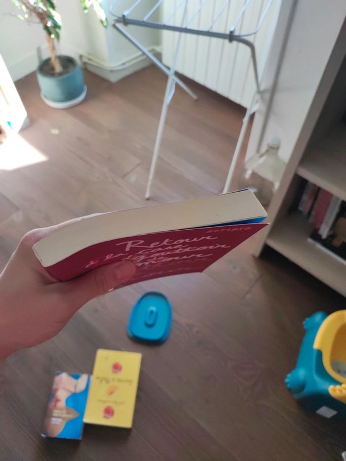 Roman Retour a la case égouttoir de l'amour - photo numéro 4