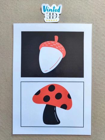 Images contrastées pour bébés