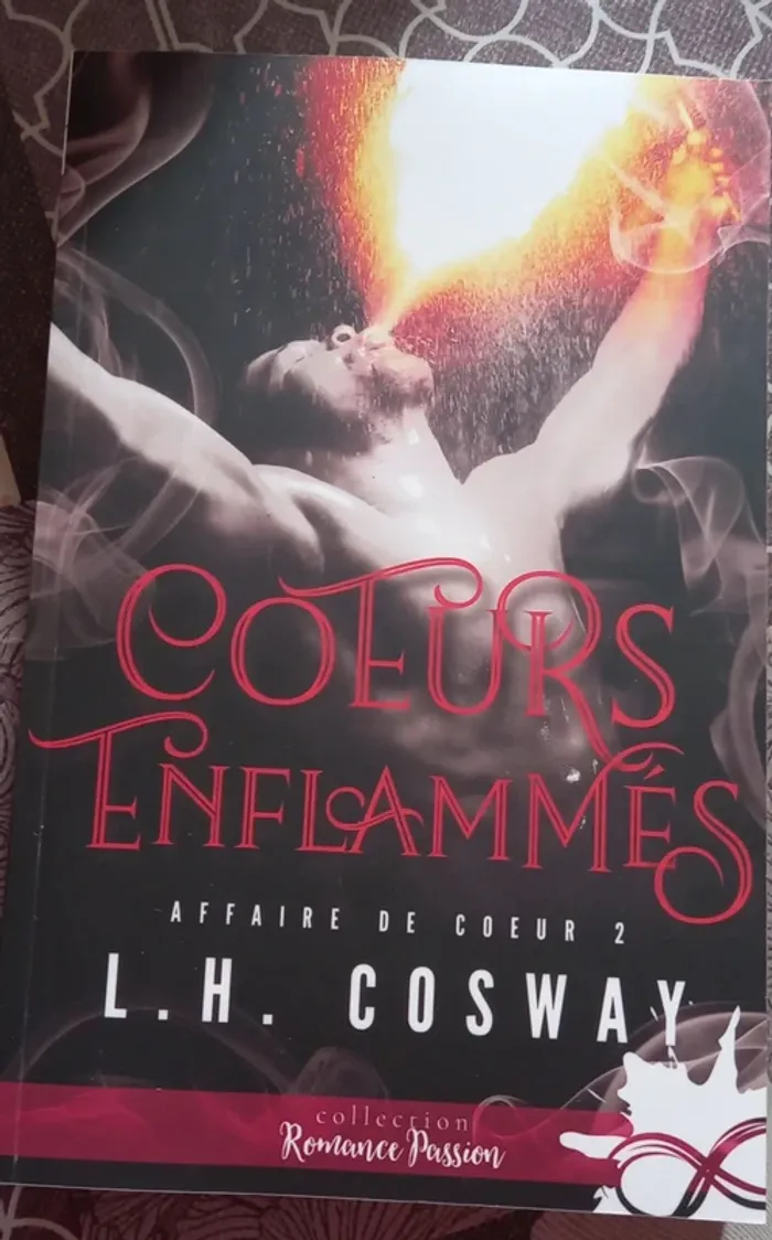 Livre cœurs enflammés