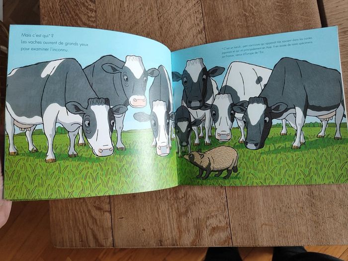 Bonjour, les vaches! - photo numéro 3
