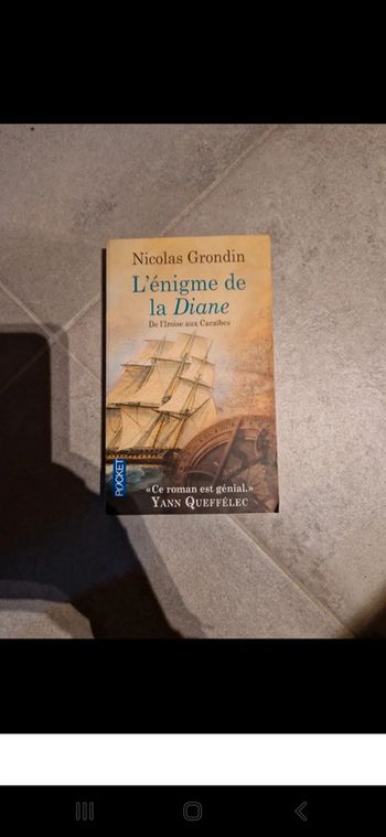 Roman historique l'énigme de la diane