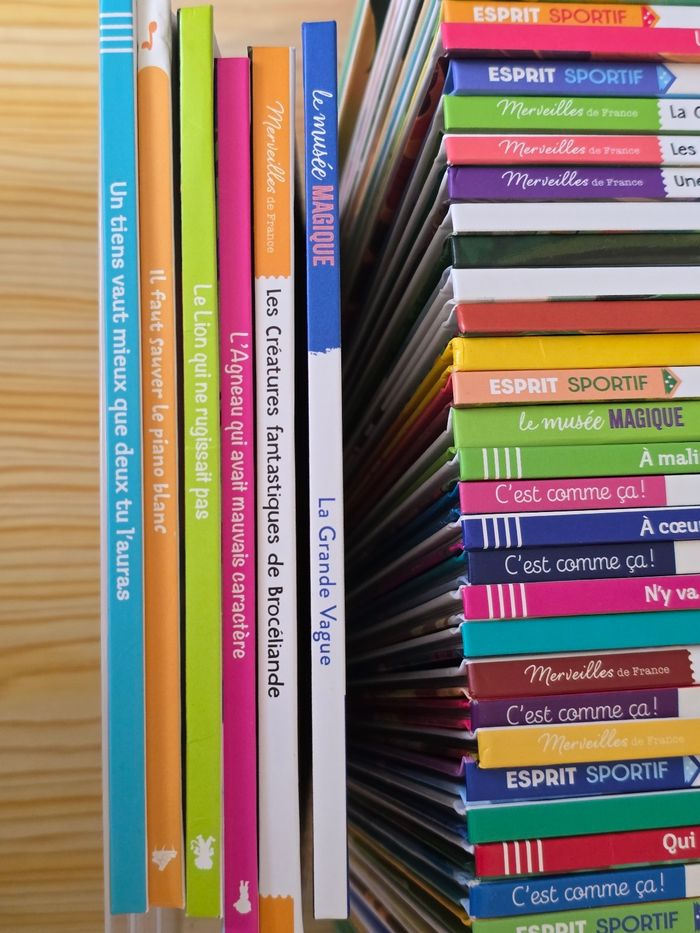 Livres Mc Do - photo numéro 4