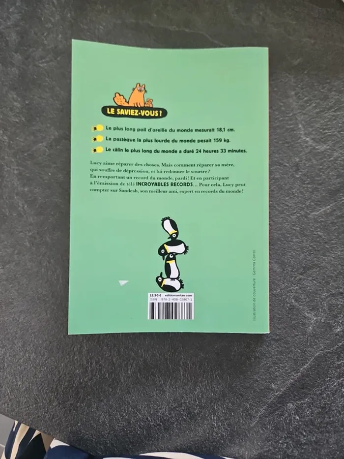 Livre les incroyables records du monde de Lucy et Sandesh - photo numéro 2