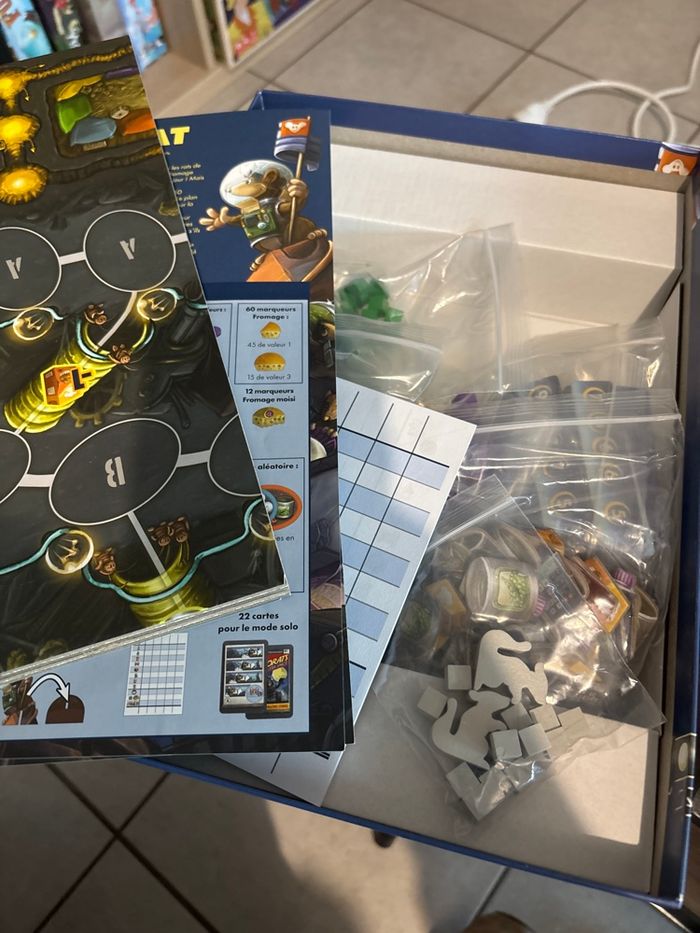 First Rat - photo numéro 3