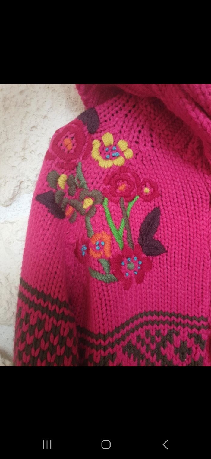 Magnifique veste - photo numéro 2