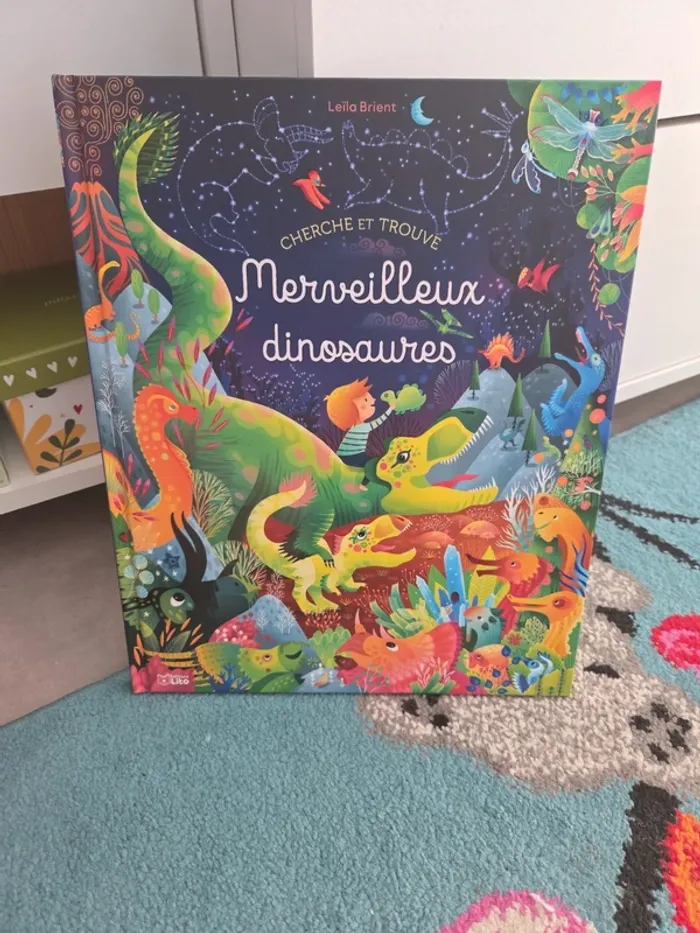 Livre cherche et trouve dinausores