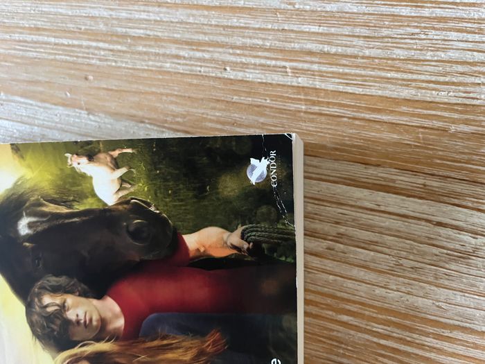 Livre Whisper - Tome 2 Retour au Haras - photo numéro 4