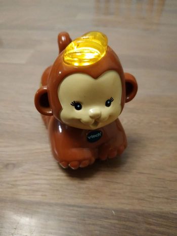 Titi le petit ouistiti Tut Tut Animaux