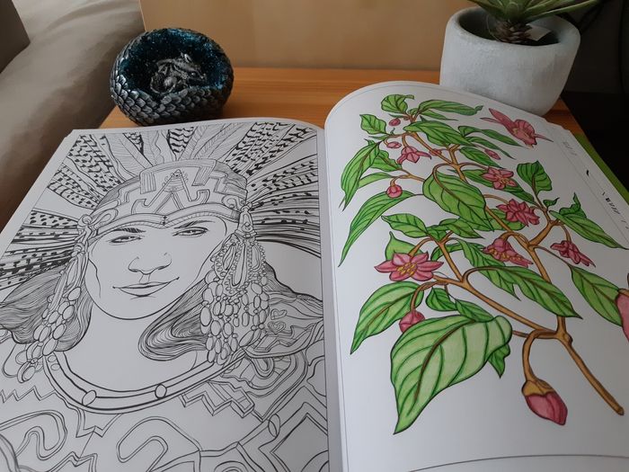 Livre de coloriage art thérapie Mayas & Aztèques - photo numéro 4
