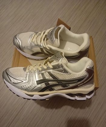 Chaussure asics gel kayano silver brown